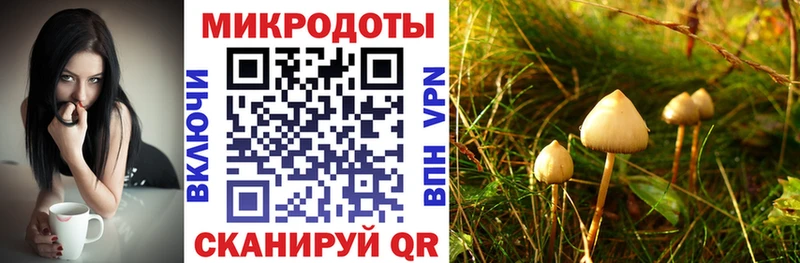 гидра сайт  Малгобек  Псилоцибиновые грибы мухоморы 